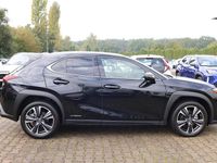 Gebraucht Lexus UX 184 PS (135 kW) 2022 SUV