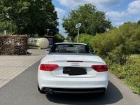 gebraucht Audi A5 Cabriolet 2.0 TDI *S-line*Navi*DPF (clean diesel