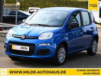 Neu Fiat Panda 69 PS (50 kW) 2025 Blau Kleinwagen
