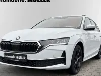 Gebraucht Skoda Octavia Selection 150 PS (110 kW) 2024 Moonweiss metallic Kombi