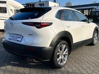 Gebraucht Mazda CX-30 Selection 122 PS (89 kW) 2020 Weiß SUV