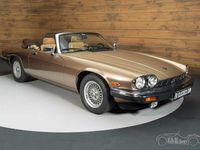 Gebraucht Jaguar XJS 265 PS (194 kW) 1990 Braun Cabrio