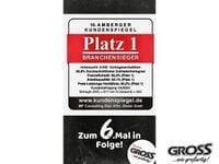 Gebraucht Toyota C-HR Team 197 PS (144 kW) 2024 Grau SUV