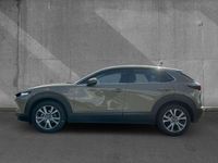 Gebraucht Mazda CX-30 Exclusive 122 PS (89 kW) 2024 Zircon sand SUV