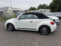 Usata VW Beetle Cabriolet 105 CV (77 kW) 2015 Bianco Cabrio