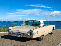 Gebraucht Ford V8 300 PS (220 kW) 1961 Beige Coupé