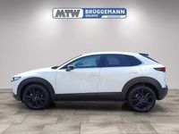 Gebraucht Mazda CX-30 Homura-Line 140 PS (102 kW) 2025 Weiss SUV