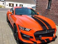 gebraucht Ford Mustang GT Shelby 500/LPG