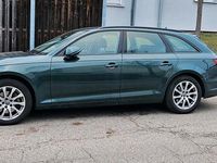 Gebraucht Audi A4 190 PS (139 kW) 2019 Grün Kombi