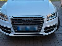 Gebraucht Audi SQ5 325 PS (239 kW) 2017 Weiß SUV