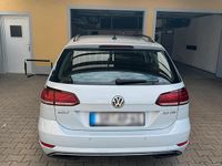 Gebraucht VW Golf VII 150 PS (110 kW) 2017 Weiß Kombi