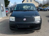 Gebraucht Fiat Panda 2009 Kleinwagen