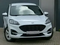 Gebraucht Ford Kuga ST-Line 250 PS (183 kW) 2022 Weiß SUV