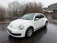 Gebraucht VW Beetle 105 PS (77 kW) 2014 Weiß Kleinwagen