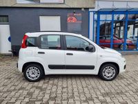 gebraucht Fiat Panda mit wenig Kilometern