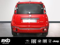 gebraucht Fiat Panda Red 1.0 Mild Hybrid EU6d Komfort Paket
