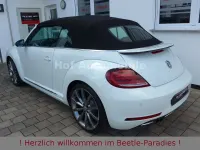 Gebraucht VW Beetle Sound 150 PS (110 kW) 2018 Weiß Kleinwagen