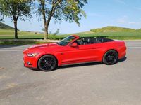 gebraucht Ford Mustang MustangCabrio 5.0 Ti-VCT V8 Aut. Black Shadow Edi