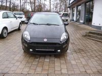 Gebraucht Fiat Punto Lounge 69 PS (50 kW) 2017 Colore esterno Kleinwagen