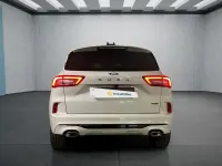 Neu Ford Kuga 182 PS (133 kW) 2025 Weiß SUV