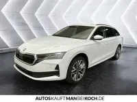 Neu Skoda Octavia 150 PS (110 kW) 2025 Weiß Kombi
