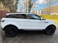 Gebraucht Land Rover Range Rover evoque 190 PS (139 kW) 2012 Weiß SUV