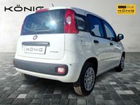 Gebraucht Fiat Panda 69 PS (50 kW) 2025 Weiß Limousine