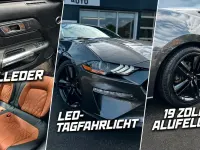 Gebraucht Ford Mustang 290 PS (213 kW) 2018 Grau Coupé
