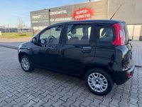 Gebraucht Fiat Panda Easy 69 PS (50 kW) 2016 Schwarz Kleinwagen