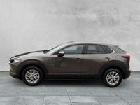 Gebraucht Mazda CX-30 Selection 179 PS (131 kW) 2020 Grau SUV