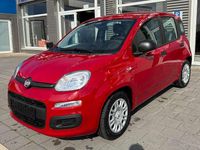 Neu Fiat Panda 69 PS (50 kW) 2025 Rot Kleinwagen