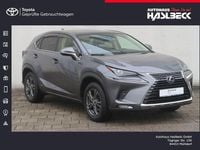 Gebraucht Lexus NX300h E-FOUR Executive Line 197 PS (144 kW) 2019 Grau SUV