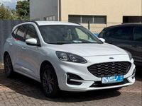 Gebraucht Ford Kuga ST-Line 152 PS (111 kW) 2022 Weiß SUV