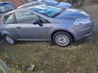 gebraucht Fiat Punto 1.2 8V Active Clima