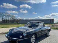 Gebraucht Alfa Romeo Spider 126 PS (92 kW) 1986 Schwarz Cabrio
