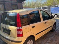 Occasion Fiat Panda Dynamic 60 ch (44 kW) 2010 Jaune Citadine
