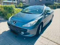 Gebraucht Peugeot 307 CC 140 PS (102 kW) 2006 Grau Cabrio