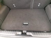 Gebraucht Ford Puma ST 200 PS (147 kW) 2021 Grün SUV