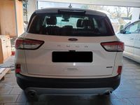 Gebraucht Ford Kuga Titanium X 224 PS (164 kW) 2021 Weiß SUV