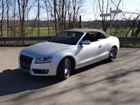 gebraucht Audi A5 Cabriolet Klimaautom., PDC, Xenon, Alcantara, Alu 19