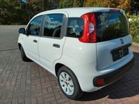 gebraucht Fiat Panda 1.2 POP, TÜV 08/2025