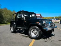 Gebraucht Jeep Wrangler 185 PS (136 kW) 1994 Schwarz SUV