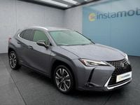 Brugt Lexus UX 2021 Grå SUV