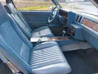 Gebraucht Buick Regal 170 PS (125 kW) 1980 Blau Coupé