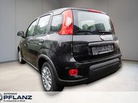 Neu Fiat Panda 69 PS (50 kW) 2025 Schwarz Kleinwagen