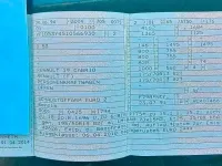 Gebraucht Renault 19 88 PS (64 kW) 1994 Grün Cabrio
