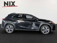 gebraucht Lexus UX 250h Executive Line SCHIEBEDACH PREMIUM PAKET KAMERA