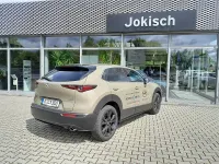 Gebraucht Mazda CX-30 Homura-Line 140 PS (102 kW) 2026 SUV