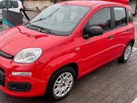 Gebraucht Fiat Panda 69 PS (50 kW) 2019 Rot Kleinwagen