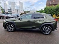 Gebraucht Lexus UX 250h 184 PS (135 kW) 2022 Norigrün (metallic) SUV